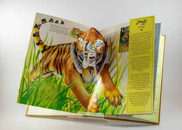 Tiger Pop-Up
